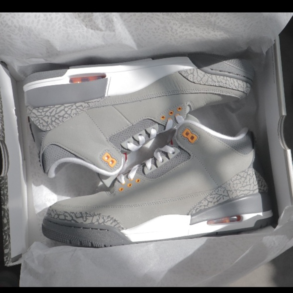 Cool Grey 3 Jordans